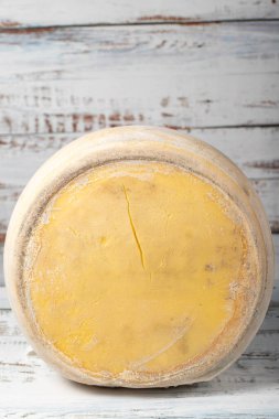 Çedar peyniri. Beyaz arka planda dilimlenmemiş bayat peynir