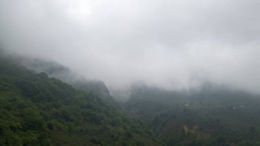 İki dağ arasında sis çöküyor. Dağların eteğindeki yeşil doğal orman. Hava görünümü