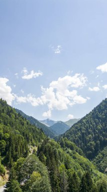 Ormanlarla kaplı bir dağ. Hava manzaralı orman. Dağ sırası doğal koruma alanıdır. Açık bulutlu havada Kackar dağlarında doğar