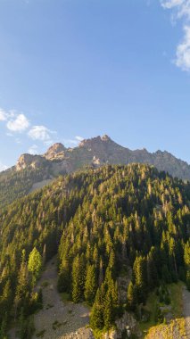 Ormanlarla kaplı bir dağ. Hava manzaralı orman