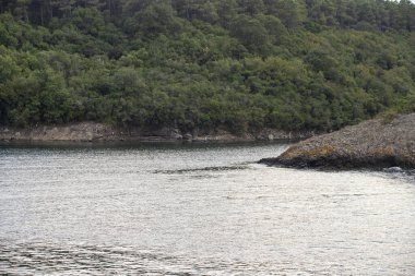 Sinop hamsilos körfezi. Hindi turistik yerleri. Kuzey Türkiye 'de seyahat noktaları.