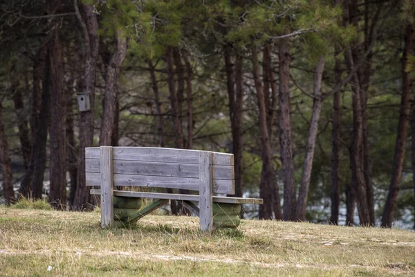 Sitting bench in the forest area. Peaceful environments. The seating area is surrounded by tall lush green trees, shrubs and grass.