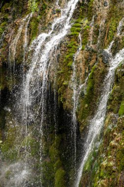Kuzalan şelalesi. Giresun 'da yer alan Kuzalan Şelalesi turistik bir yerdir. Türkiye turizm mekanları
