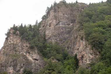 Dağ. Ormanlarla kaplı dağların manzarası. Bulutlu hava