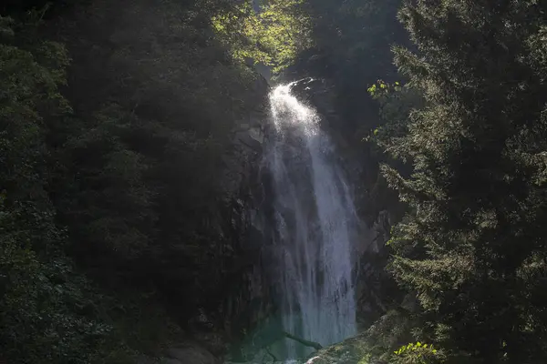 Manle waterfall. Waterfall flowing in the green forest. Manle Waterfall in Rize ikizdere