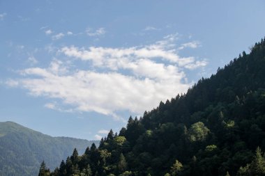 Ormanla kaplı dağlık bir bölge. Karadeniz ormanları. Rize Turkey 'de vuruldu
