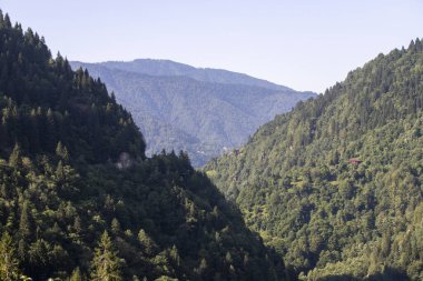 Ormanla kaplı dağlık bir bölge. Karadeniz ormanları. Rize Turkey 'de vuruldu