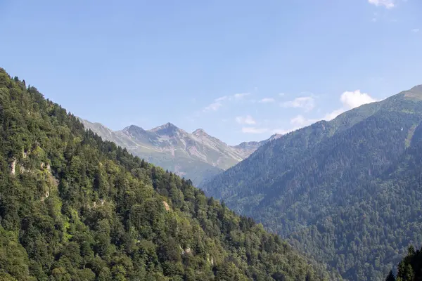 Ormanla kaplı dağlık bir bölge. Karadeniz ormanları. Rize Turkey 'de vuruldu