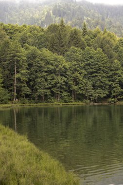Karagl, Artvin 'in savsat bölgesinde. Savsat Karagol gölü, Artvin ormanında büyük bir alabalık gölüdür. Türkiye 'nin turistik merkezleri