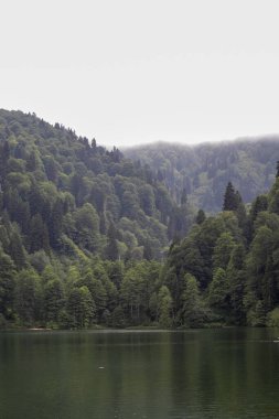 Karagl, Artvin 'in savsat bölgesinde. Savsat Karagol gölü, Artvin ormanında büyük bir alabalık gölüdür. Türkiye 'nin turistik merkezleri