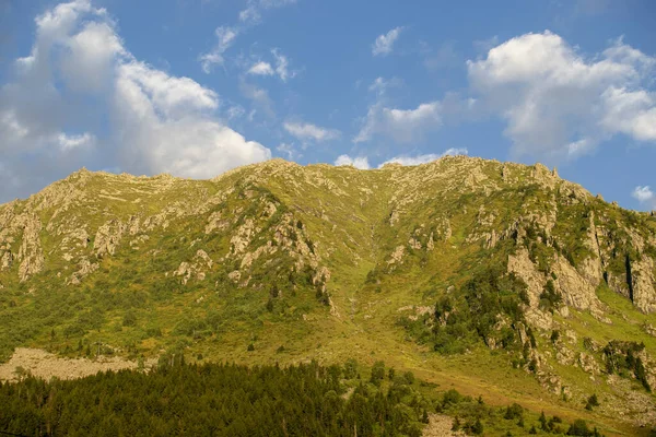 Green image of a high altitude mountain. Rize elevit plateau. green plateau