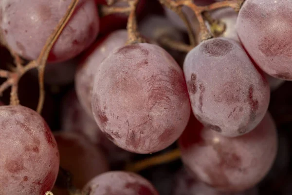 Fresh purple grapes on a white wooden background. Organic agricultural products. Delicious bunch of grapes. Close up