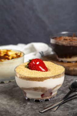 Manolya, sütlaç (çikolatalı puding) ve sütlaç. Kapat.