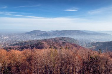 Küçük Beskids ve Bielsko-Biala şehrine doğru güzel bir manzara. Sonbahar sabahı. Szyndzielnia 'nın tepesinden bak. Polonya