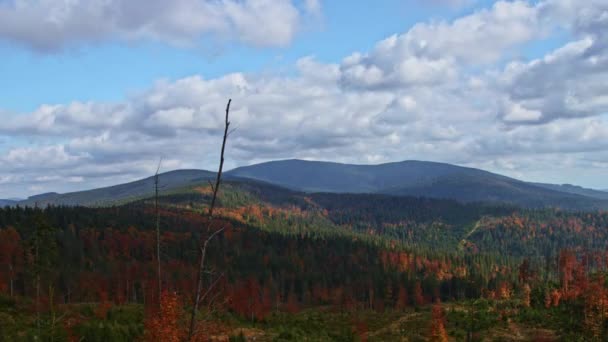 Mountains Fall Mountain Panorama Full Autumn Colors Ywiec Beskids Poland — Wideo stockowe