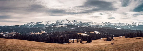 Vue Sur Panorama Des Montagnes Tatra Depuis Col Lapszanka Début — Photo