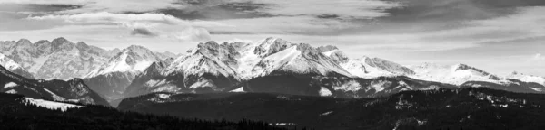 Panorama Noir Blanc Des Tatras Occidentales Enneigées Vues Depuis Col — Photo
