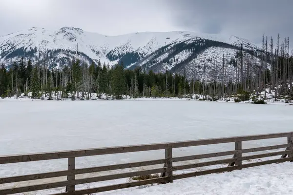 stock image Panorama. A snow-covered pond surrounded by snow-capped mountains. Tatra National Park. Koscieliska Valley, Pond Smreczynski, Poland