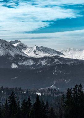 Lapszanka Geçidi 'nden High Tatras' ın güzel bir manzarası. Çevredeki dağ manzarası. Tatra Dağları, Polonya