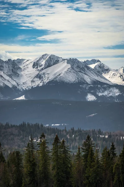 Schöne Aussicht Auf Die Hohe Tatra Vom Lapszanka Pass Berglandschaft — Stockfoto