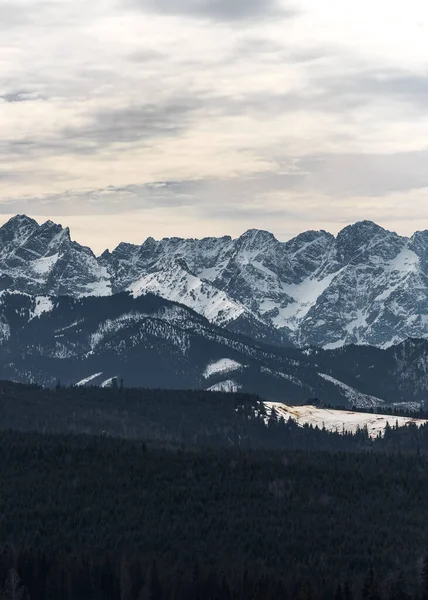 Une Belle Vue Sur Les Hautes Tatras Depuis Col Lapszanka — Photo