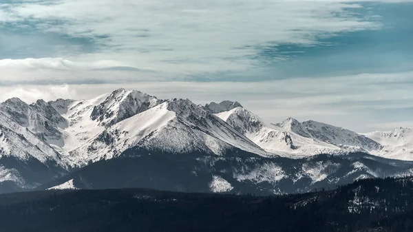 Belles Tatras Occidentales Enneigées Vue Depuis Col Lapszanka Ciel Bleu — Photo