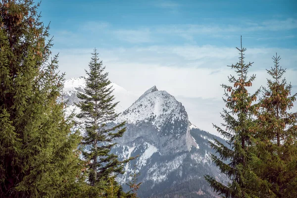 Pic Montagneux Couvert Neige Émergeant Des Épinettes Hautes Montagnes Tatra — Photo