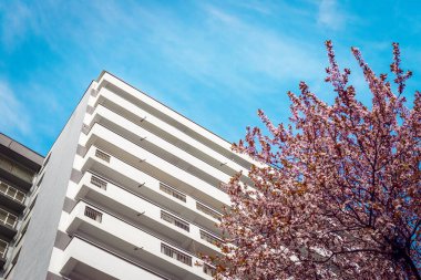 Baharın başlarında çiçek açan meyve ağaçları. Arka planda, beyaz balkonları ve güzel mavi gökyüzü olan bir apartman dairesi..