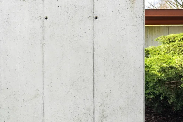 Architectural formwork concrete. Concrete, gray wall with visible formwork holes. Green bushes in the background