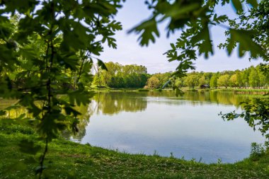 Siemianoia 'daki Bazantarnia Parkı' nda Silezya, Polonya 'da küçük bir göl. Çimlerle kaplı doğal kıyı şeridi. Yansıyan bitkilerle sakin su yüzeyi. Çerçeveye yerleştirilmiş dallar.