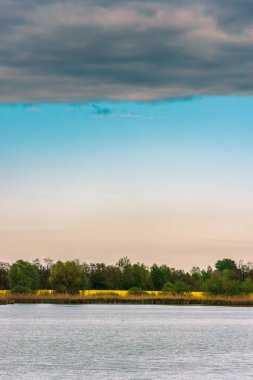 Mavi açık gökyüzü. Sazlıklı gölet. Ağaçların arkasındaki sarı kolza tohumu tarlaları. Katmanlar
