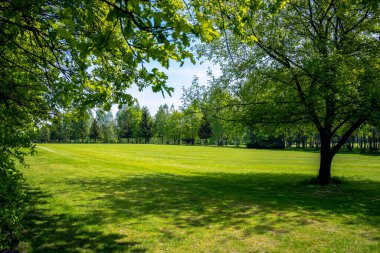 Siemianoya 'daki Bazantarnia Parkı' nda golf sahası, Silezya, Polonya. Yeşil, taze ağaçlarla çevrili mükemmel kesilmiş çimenler. Orta Avrupa 'da güneşli bir bahar günü. Golf bir açık hava aktivitesi olarak.