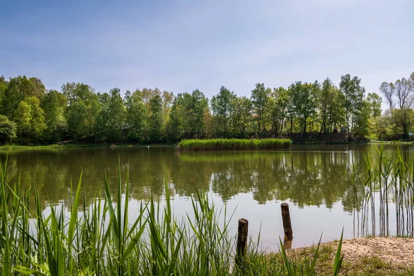 Petit Lac Rzesa Situé Dans Parc Bazantarnia Siemianowice Silésie Pologne — Photo