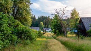 Polonya 'nın doğusunda küçük bir köyün güzel kırsal manzarası. Küçük eski evler, yol kenarında bir haç ve ahırlar. Köy yolu çimlerle kaplıydı. Roztocze, Polonya