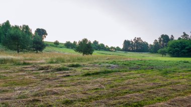 Çimleri biçilmiş ve kurutulmuş güzel bir çayır. Arka planda bir tepe. Gün batımı. Roztocze, Krasnobrod, Polonya