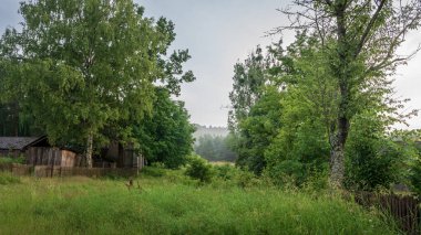 Polonya 'nın doğusunda küçük bir köyün güzel kırsal manzarası. Roztocze, Polonya
