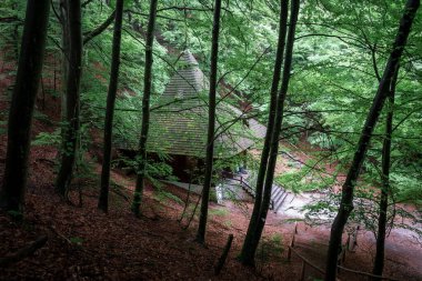 Kayın ormanındaki küçük bir kilisenin güzel ahşap mimarisi. Krasnobrod 'daki Saint Roch Şapeli. Polonya