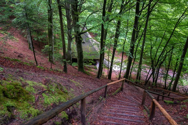 stock image Beautiful wooden architecture of a small chapel located in a beech forest. Saint Roch's Chapel in Krasnobrod. Poland