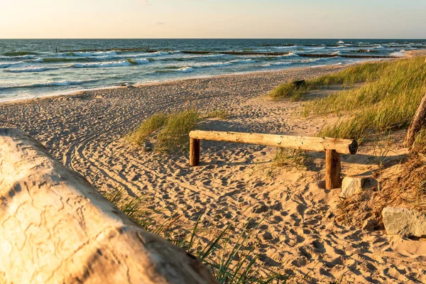 Entrance Beautiful Beach Baltic Sea Sunset Wooden Balustrade Dunes Grass — Stock Photo, Image
