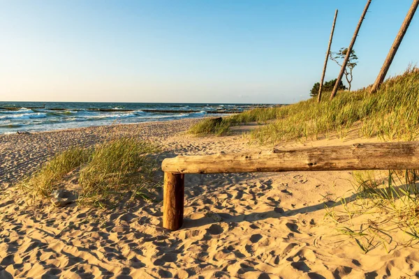 Entrance Beautiful Beach Baltic Sea Sunset Wooden Balustrade Dunes Grass Stock Picture