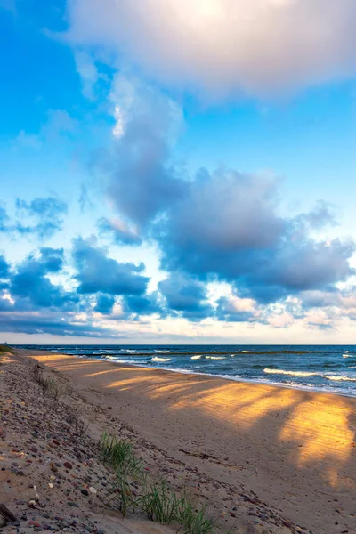 Krásná Pláž Baltského Moře Duny Chiaroscuro Stromy Trávy Zlaté Písky — Stock fotografie
