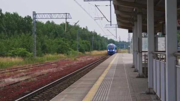 Катовіце Залезе Польща Червня 2023 Приїзд Сілезьких Залізниць Невеликій Станції — стокове відео