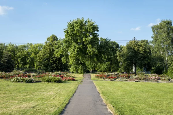 Silesian Park One Largest Downtown Parks Europe Rose Garden Summer Royalty Free Stock Photos
