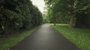 Etrafı yeşilliklerle çevrili bir park yolu boyunca bir yürüyüş. Ağaçlar ve haydutlarla çit. Chorzow, Silesian Park, Polonya