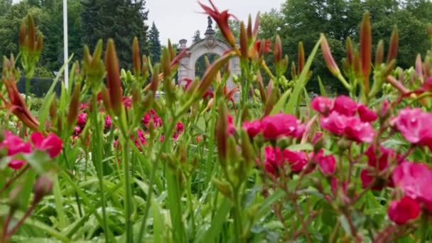 Chorzow Polonia Junio 2023 Puerta Entrada Zoológico Chorzw Hermosas Flores — Vídeo de stock
