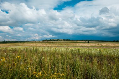 Güzel kırsal alan. Ön planda çiçeklerle dolu çayırlar. Arkasında tarım arazisi olan tepeler. Roztocze, Susiec, Polonya