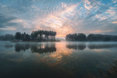 Sunrise over the lagoon. Misty summer morning. Pine trees on the other shore. Krasnobrod, Roztocze, Poland clipart