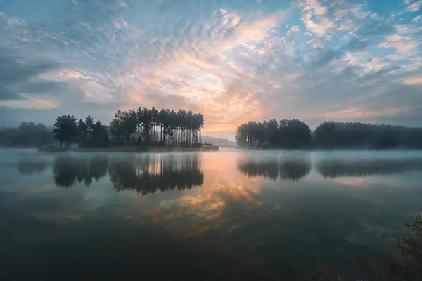 Sonnenaufgang Über Der Lagune Ein Nebliger Sommermorgen Kiefern Anderen Ufer — Stockfoto