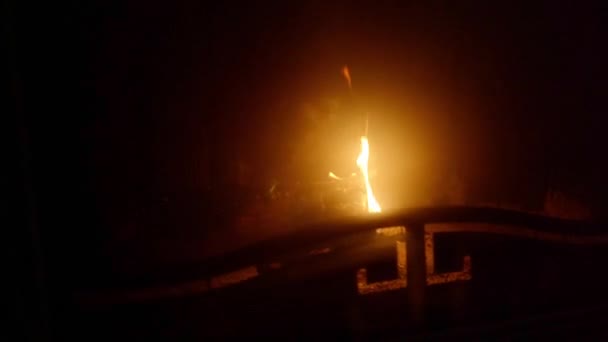 火は暖炉で燃えています バーニングウッド クローズアップ — ストック動画