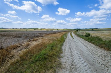 Tepeler ve tarlalardan oluşan güzel bir manzara. Az bulutlu mavi gökyüzü. Önde toprak bir yol var. Roztocze bölgesi. Narol, Doğu Polonya.